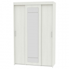 Шкаф-купе Аларти T-3-230х145х60-MВД-8