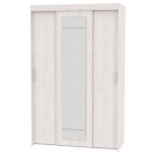 Шкаф-купе Аларти T-3-230х145х60-MЯАС-9