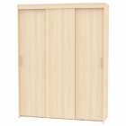 Шкаф-купе Аларти T-3-230х175х60-MДМ-12