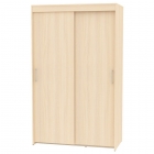 Шкаф-купе Аларти T-1-198х120х60ДМ-3