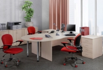 Набор Альтерна Референт 8 вишня Оксфорд