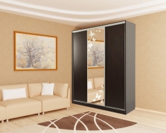 Шкаф-купе Мебельсон Бассо 1-600 бабочки Венге