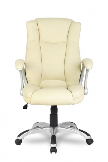 Кресло руководителя College HLC-0631-1/Beige