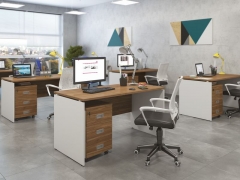 Стол письменный POINTEX TES28410831 Орех