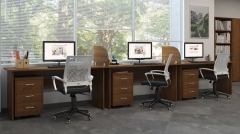 Стол письменный POINTEX TRD29610203 Орех