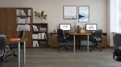 Стеллаж высокий POINTEX TRD29653003 Орех