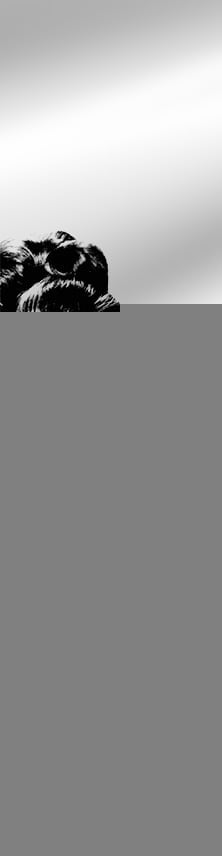 Шкаф со встроенной гладильной доской Shelf-on Iron Slim Print правый Венге