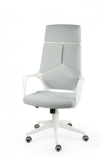 Кресло офисное Норден IQ CX0898H White grey