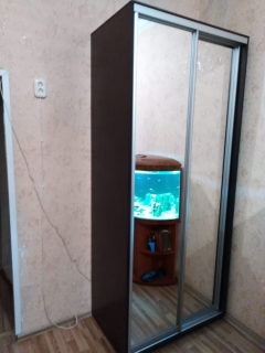 Шкаф-купе 2-х дверный Акцент Купе Акцент-Сим З 1000х600 Венге