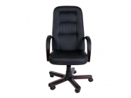 Кресло POINTEX Victoria A VCT5110021