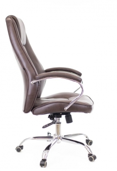 Кресло для руководителя Everprof Everprof Long TM Экокожа Коричневый