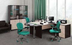 Набор Альтерна Референт 7 Дуб Кронберг