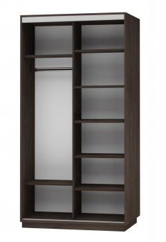 Шкаф-купе двухдверный Е1 Экспресс Дуо 1200х2400h Париж/Венге