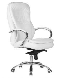 Офисное кресло для руководителей DOBRIN DOBRIN LYNDON Белый