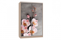 Шкаф-купе Мебельсон Гранд 7-600 78 SK-05G52 дуб млечный