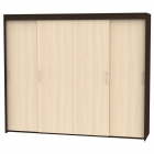 Шкаф-купе Аларти T-5-198х235х45Венге-ДМ-10