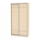 Шкаф-купе Аларти B-230х120х60-1ДМ-D7D7