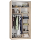 Шкаф-купе Аларти B-230х120х60-1ЯШС-D7D8