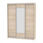 Шкаф-купе Аларти B-230х180х60-1ДСС-D7D8D7