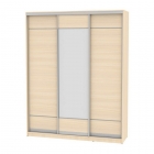 Шкаф-купе Аларти B-230х180х60-3ДМ-D7D8D7