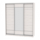 Шкаф-купе Аларти B-230х200х60-1ЯАС-D7D8D7