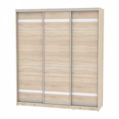 Шкаф-купе Аларти B-230х200х60-2ДСС-D9D9D9