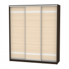 Шкаф-купе Аларти B-230х200х60-2Венге-ДМ-D9D9D9