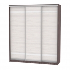 Шкаф-купе Аларти B-230х200х60-2ЯАТ-ЯАС-D9D9D9