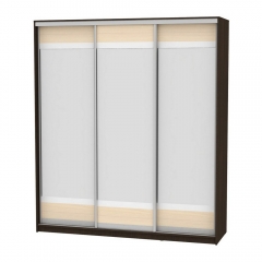 Шкаф-купе Аларти B-230х200х60-2Венге-ДМ-D10D10D10