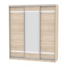 Шкаф-купе Аларти B-230х200х60-2ДСС-D9D10D9