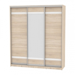 Шкаф-купе Аларти B-230х200х60-2ДСС-D9D10D9