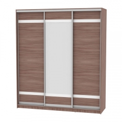 Шкаф-купе Аларти B-230х200х60-2ЯШТ-D9D10D9