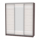 Шкаф-купе Аларти B-230х200х60-2ЯАТ-ЯАС-D9D10D9