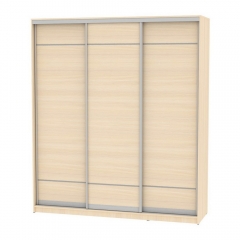 Шкаф-купе Аларти B-230х200х60-3ДМ-D7D7D7