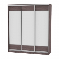 Шкаф-купе Аларти B-230х200х60-3ЯАТ-D8D8D8