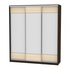 Шкаф-купе Аларти B-230х200х60-3Венге-ДМ-D8D8D8