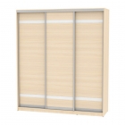 Шкаф-купе Аларти B-230х200х60-3ДМ-D9D9D9