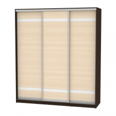 Шкаф-купе Аларти B-230х200х60-3Венге-ДМ-D9D9D9