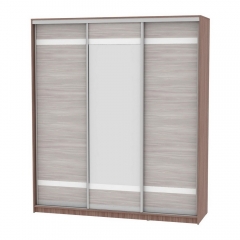 Шкаф-купе Аларти B-230х200х60-3ЯШТ-ЯШС-D9D10D9