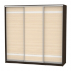 Шкаф-купе Аларти B-230х235х60-1Венге-ДМ-D9D9D9