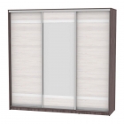 Шкаф-купе Аларти B-230х235х60-1ЯАТ-ЯАС-D9D10D9