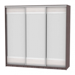 Шкаф-купе Аларти B-230х235х60-2ЯАТ-ЯАС-D10D10D10