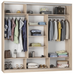 Шкаф-купе Аларти B-230х235х60-2ВД-D9D10D9