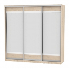 Шкаф-купе Аларти B-230х235х60-3ДСС-D10D10D10