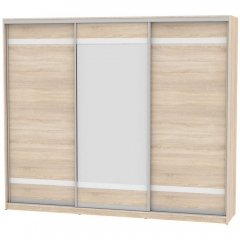 Шкаф-купе Аларти B-230х270х60-2ДСС-D9D10D9