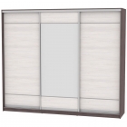 Шкаф-купе Аларти B-230х270х60-3ЯАТ-ЯАС-D7D8D7