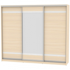 Шкаф-купе Аларти B-230х270х60-3ДМ-D9D10D9