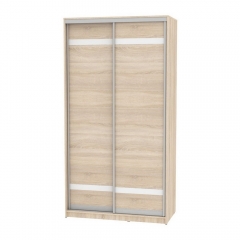 Шкаф-купе Аларти B-220х120х60-2ДСС-D9D9