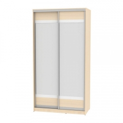 Шкаф-купе Аларти B-220х120х60-2ДМ-D9D10