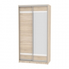 Шкаф-купе Аларти B-220х120х60-2ДСС-D9D10